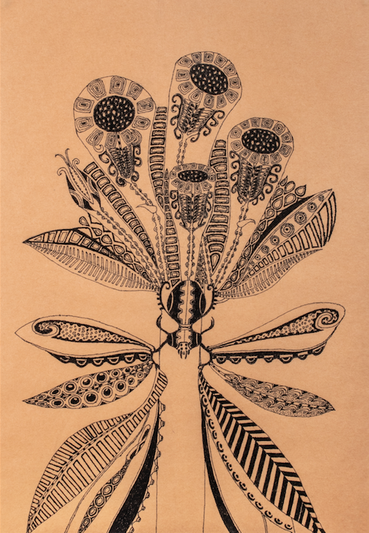 Shinya Fujii, Untitled (56)