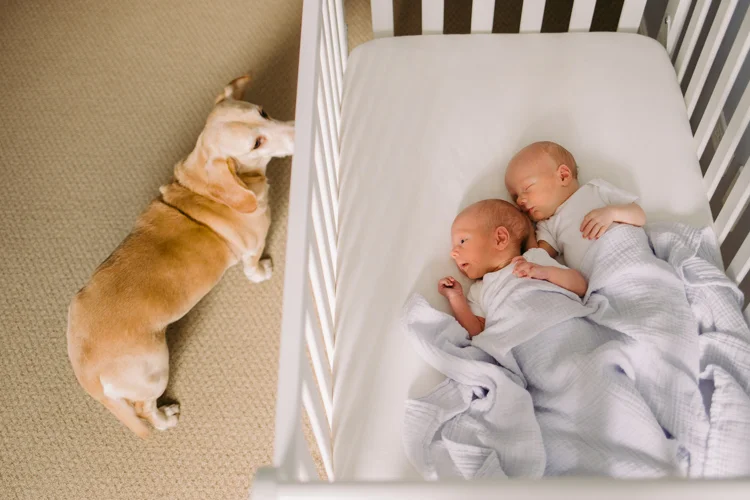 Twice the Joy | Chicago Newborn Photography