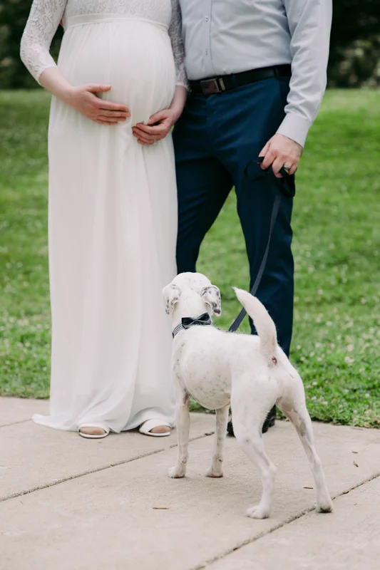 chicago-maternity-photography.jpg