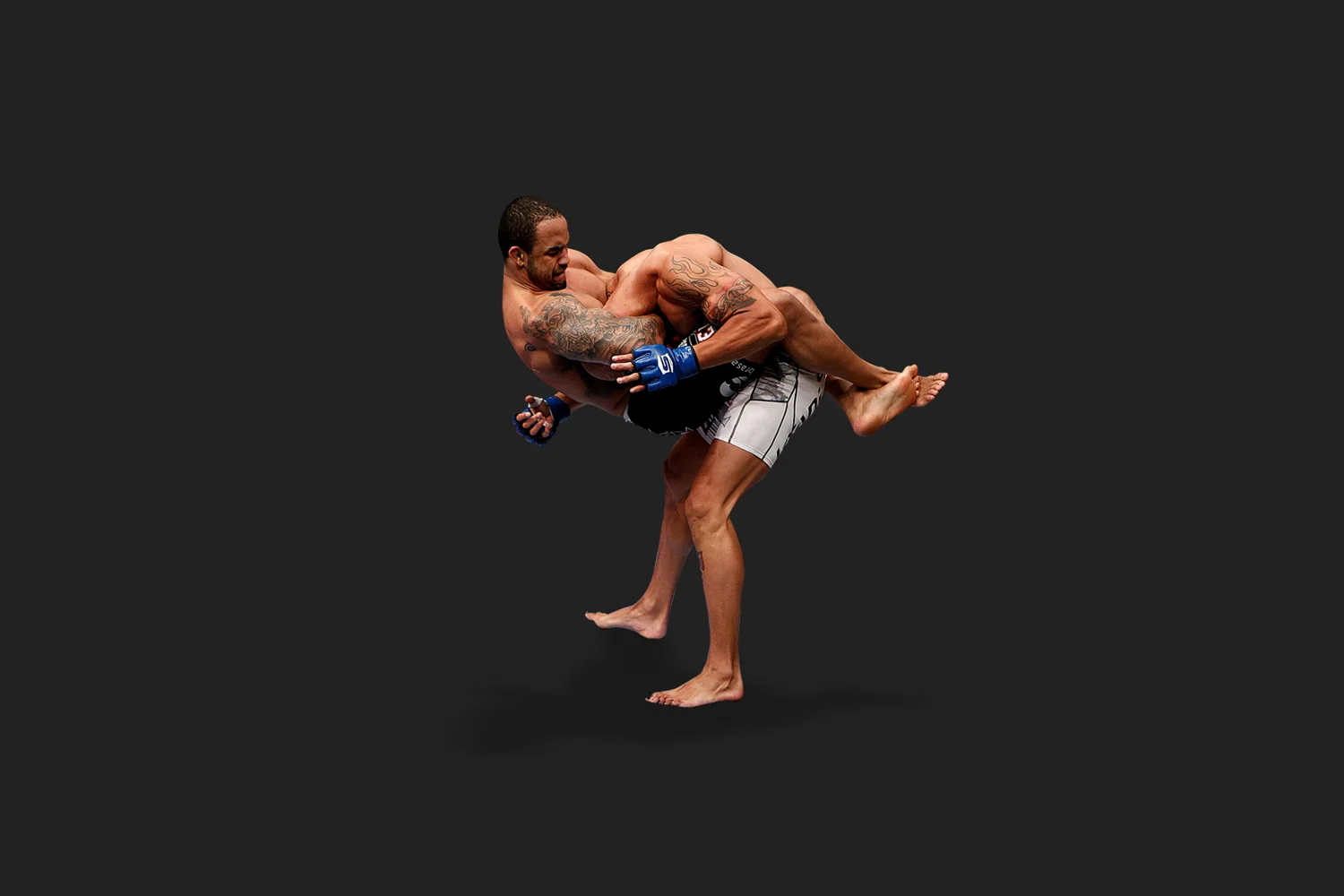 SF_Thumb2.jpg