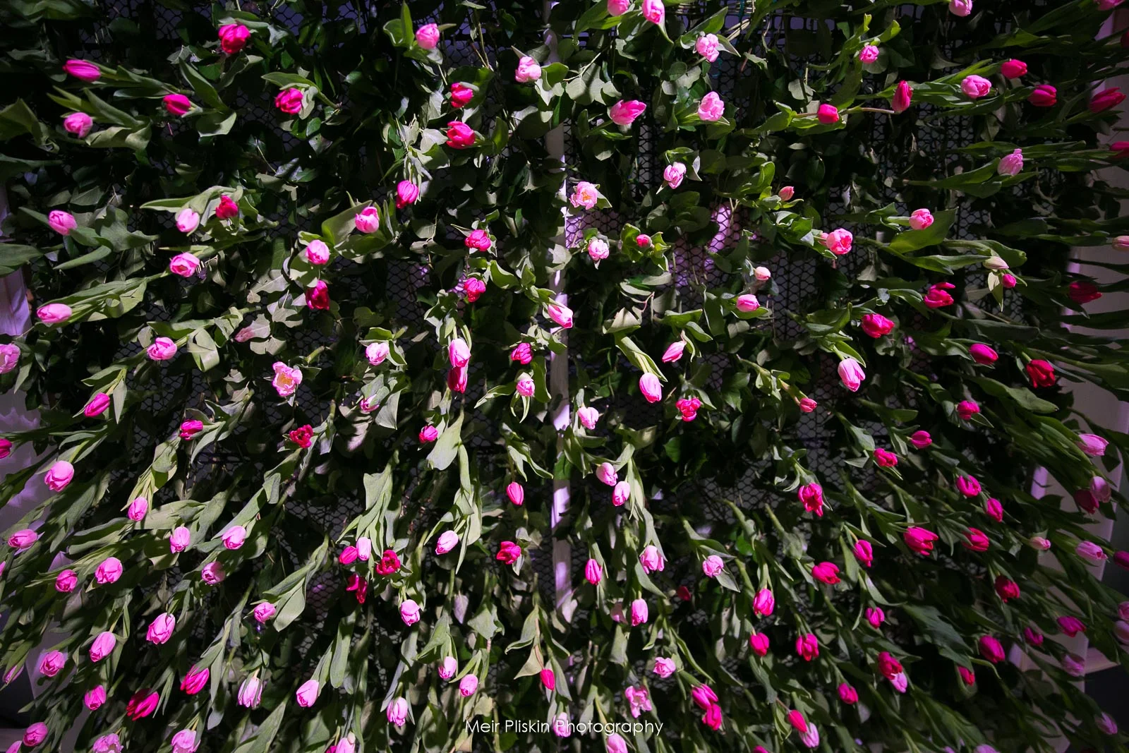 PX2A0705.jpg