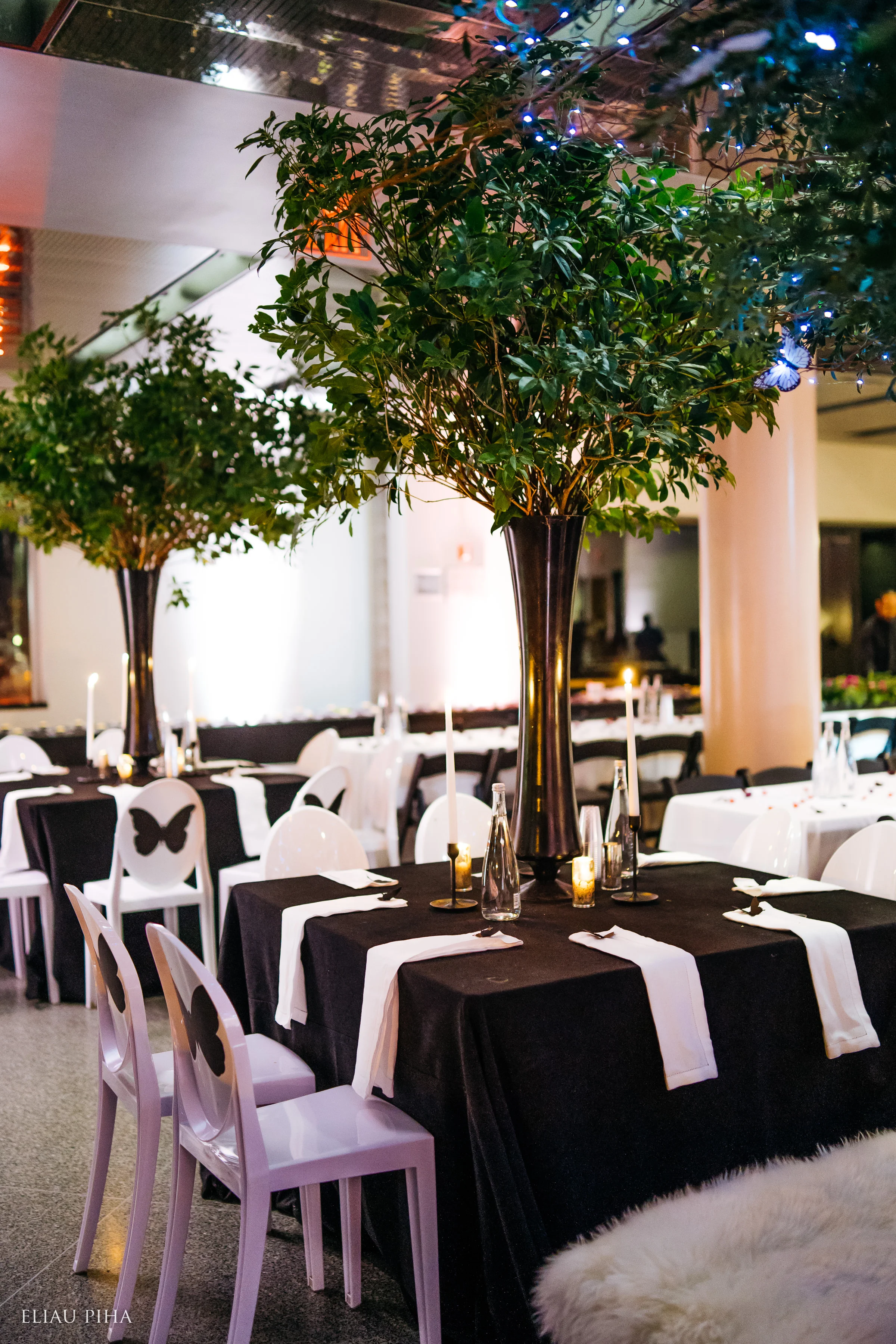BM Jaffe - Chani Greenbaum _ Eliau Piha Photography-27.jpg