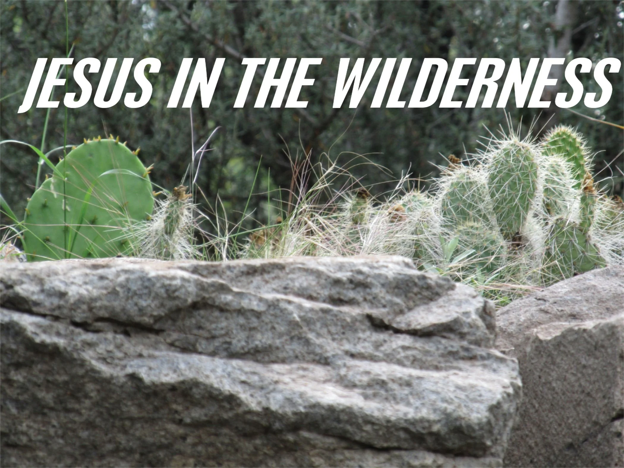 March 1, 2026 Worship 