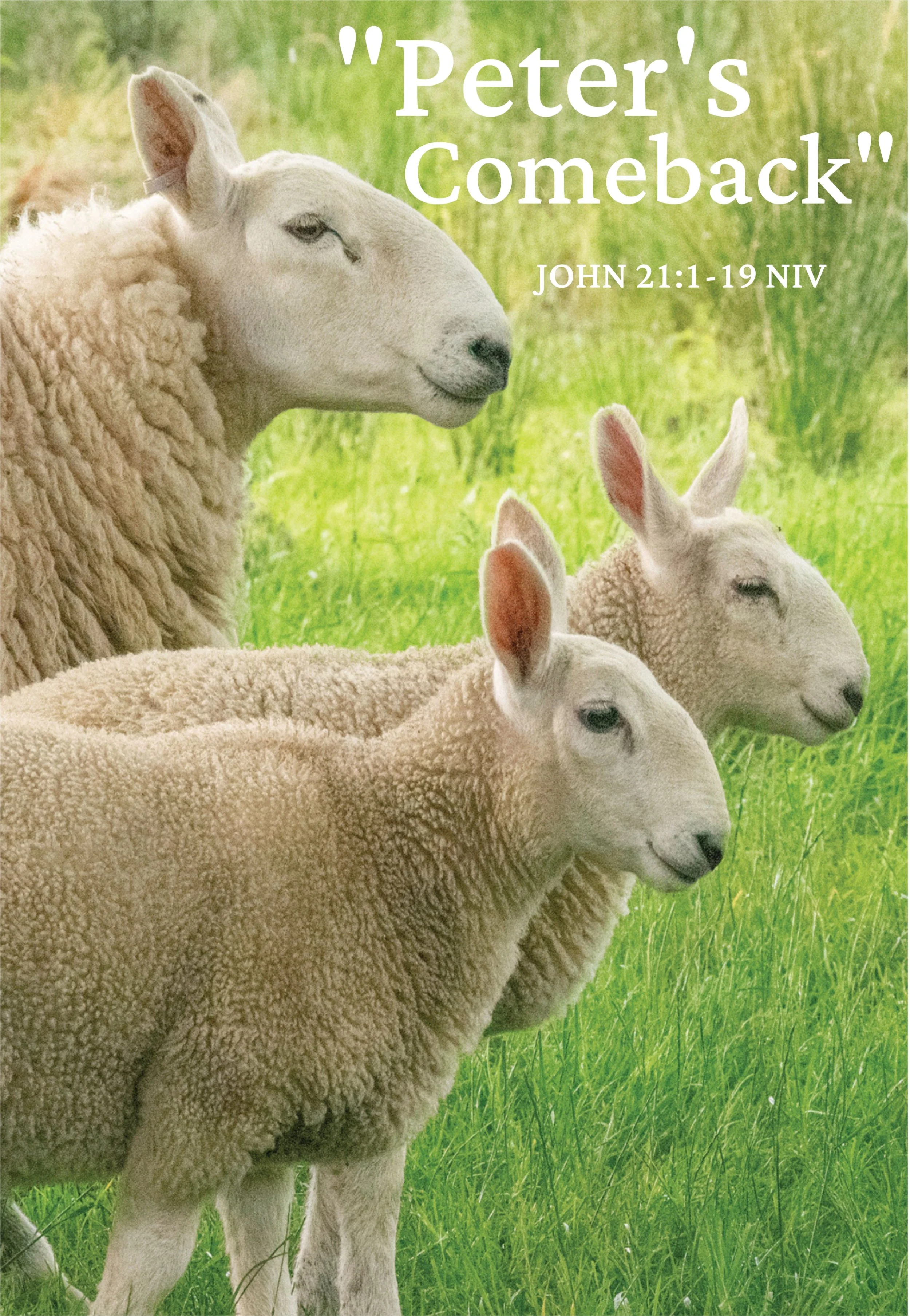 May 3, 2026 Worship