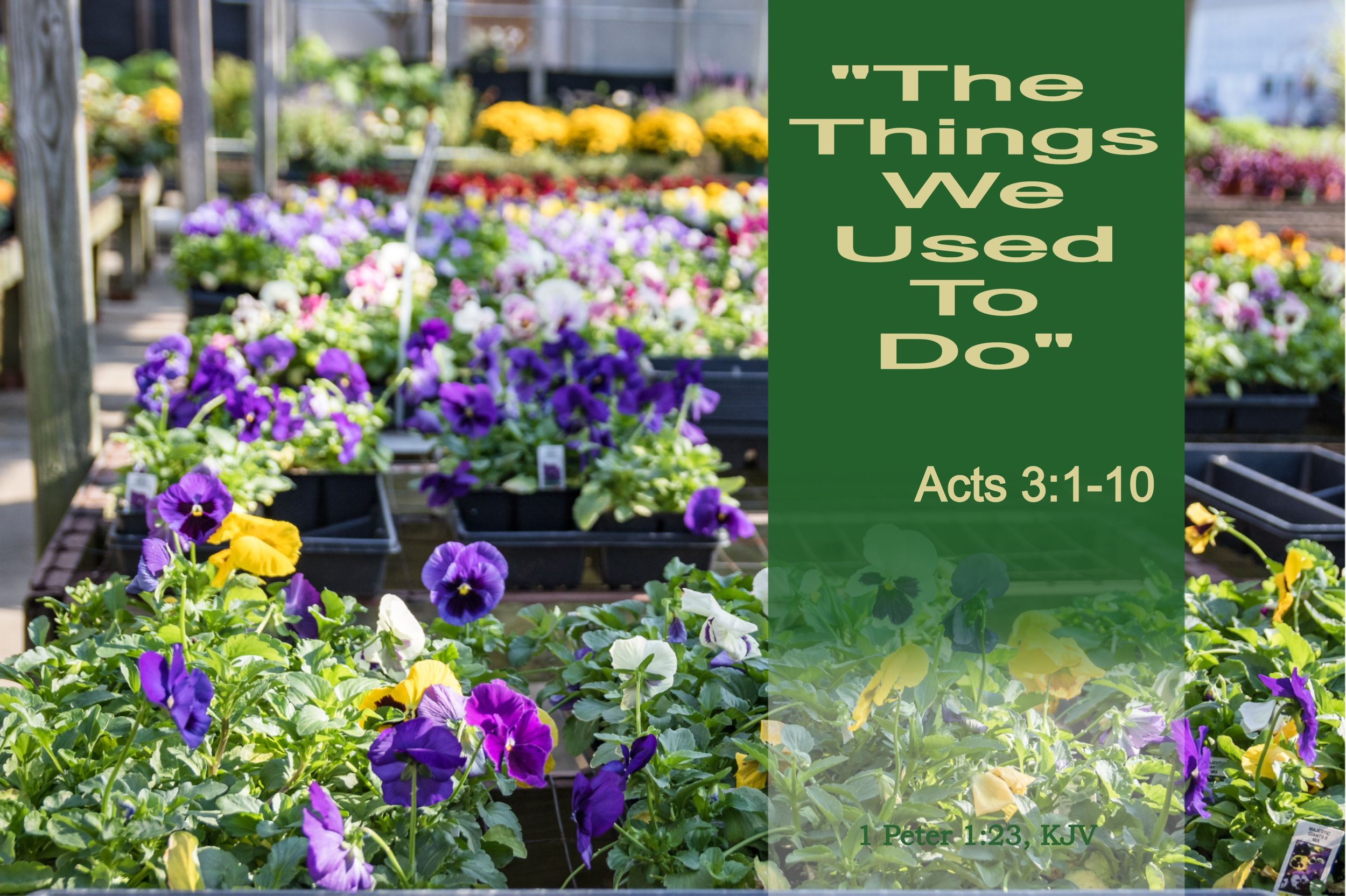 June 7, 2026 Worship