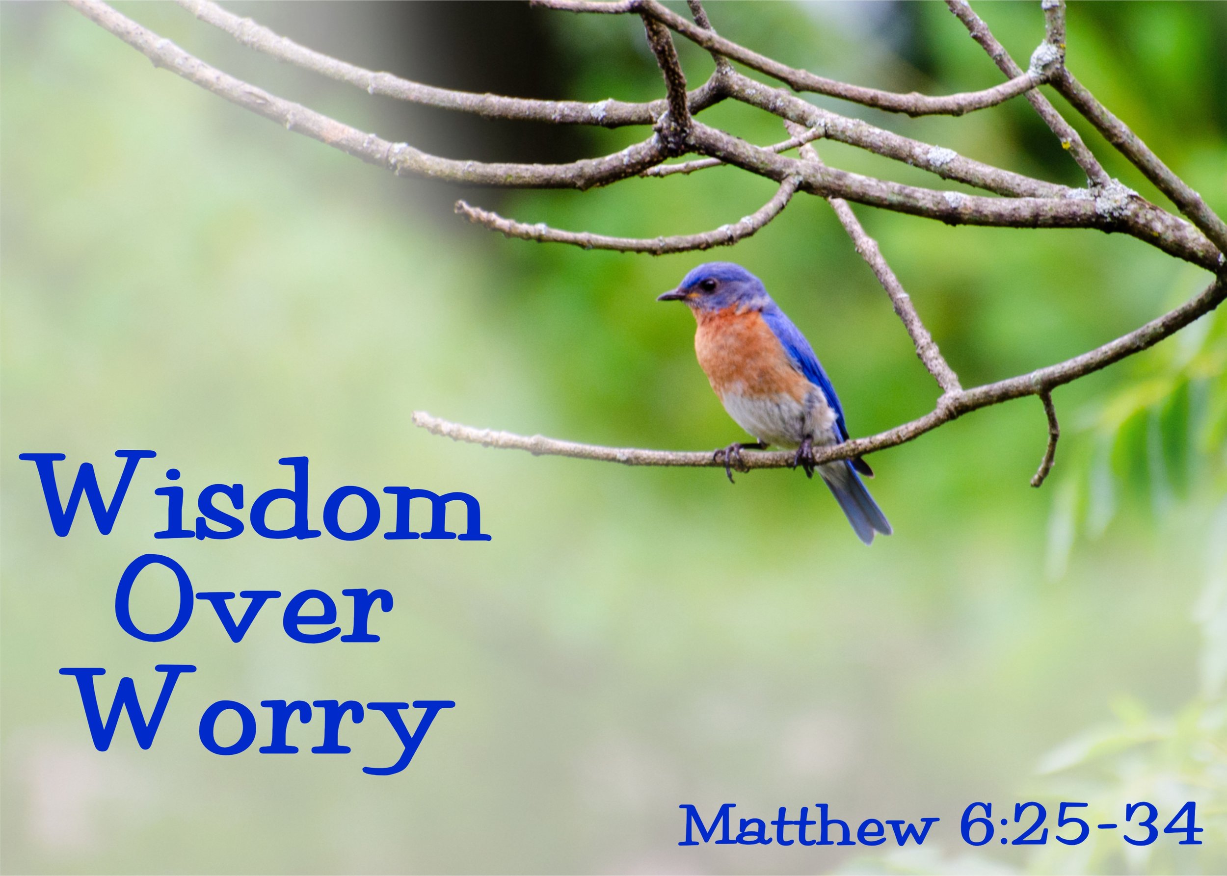 October 11, 2026 Worship