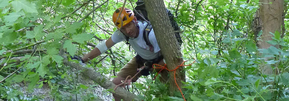 Jacob Canyon in Zion National Park: Poison Ivy and Fiddlesticking!