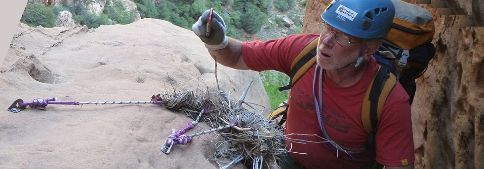 Zion Summit Route and Backcountry Canyon: Lady Mountain and Jacob Canyon