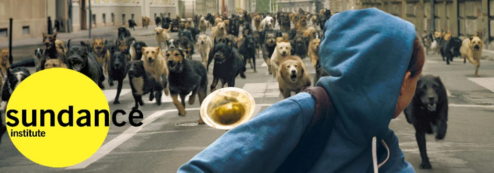 Sundance Films 2015 M1: White God