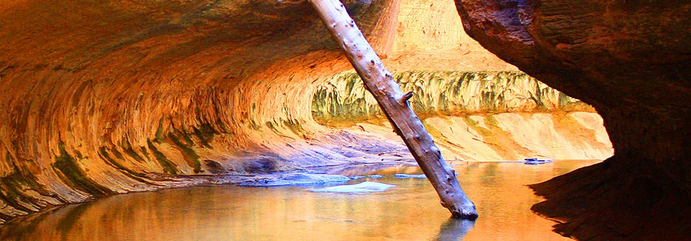 Anchor Work in The Subway, Zion National Park