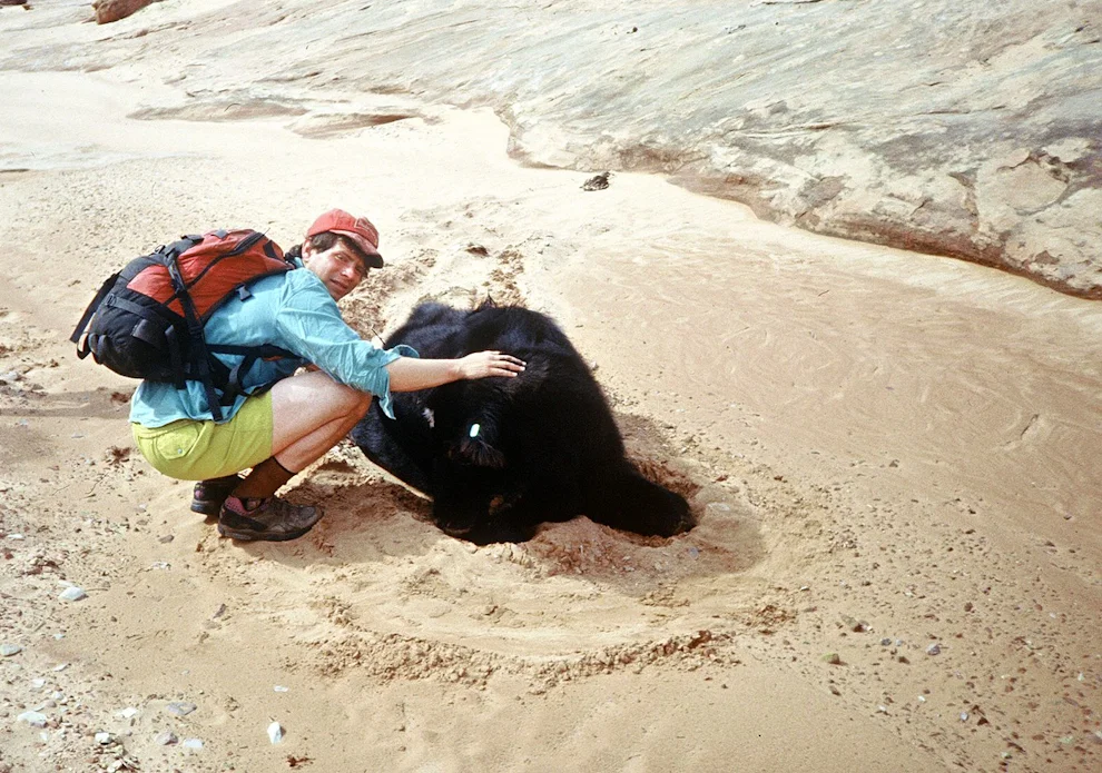 Birthing Cow in Red Breaks, Escalante