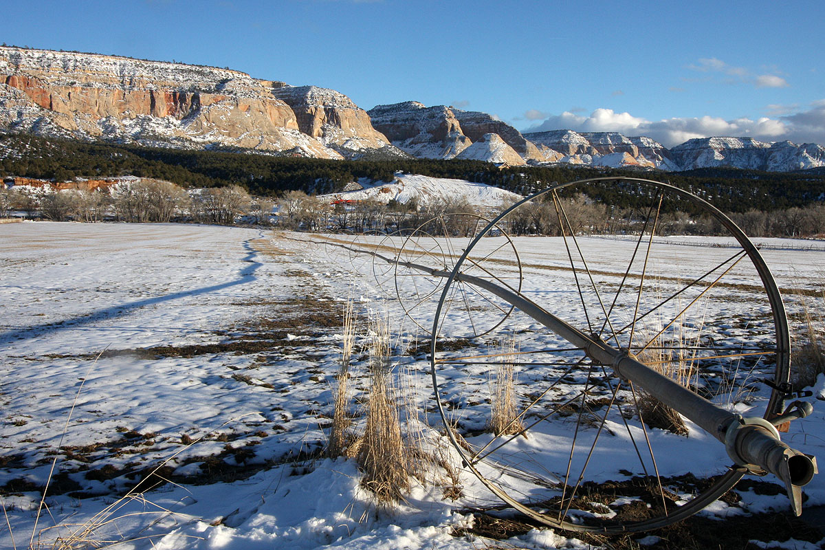 20090210fieldbig.jpg