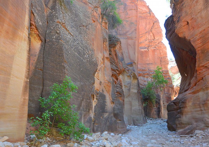 2016_6_Parunuweap Canyon8.jpg