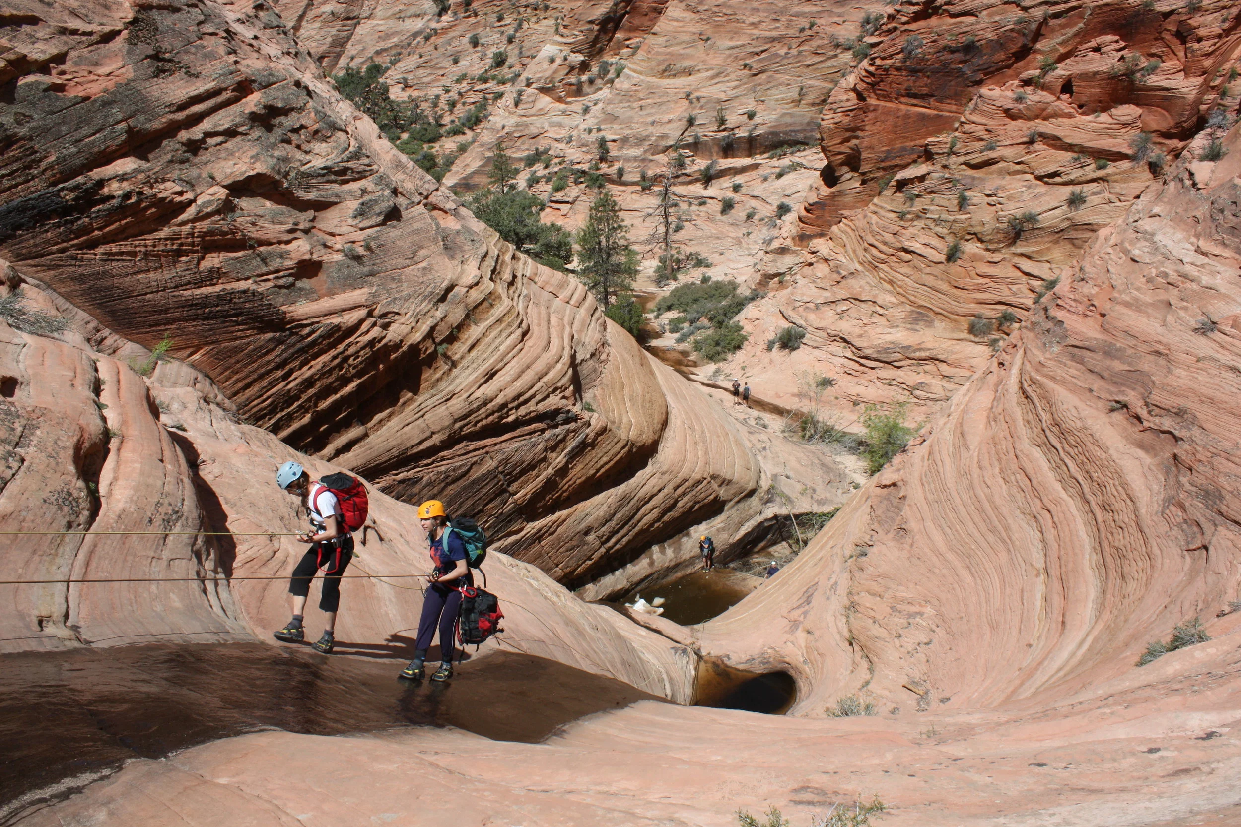 EOS DIGITAL REBEL XSi2010_05_190646.JPG