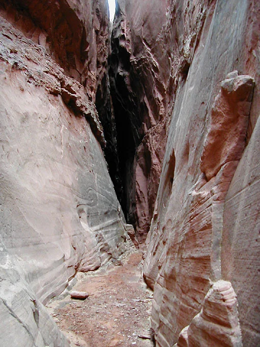 Moving through Woody Canyon.