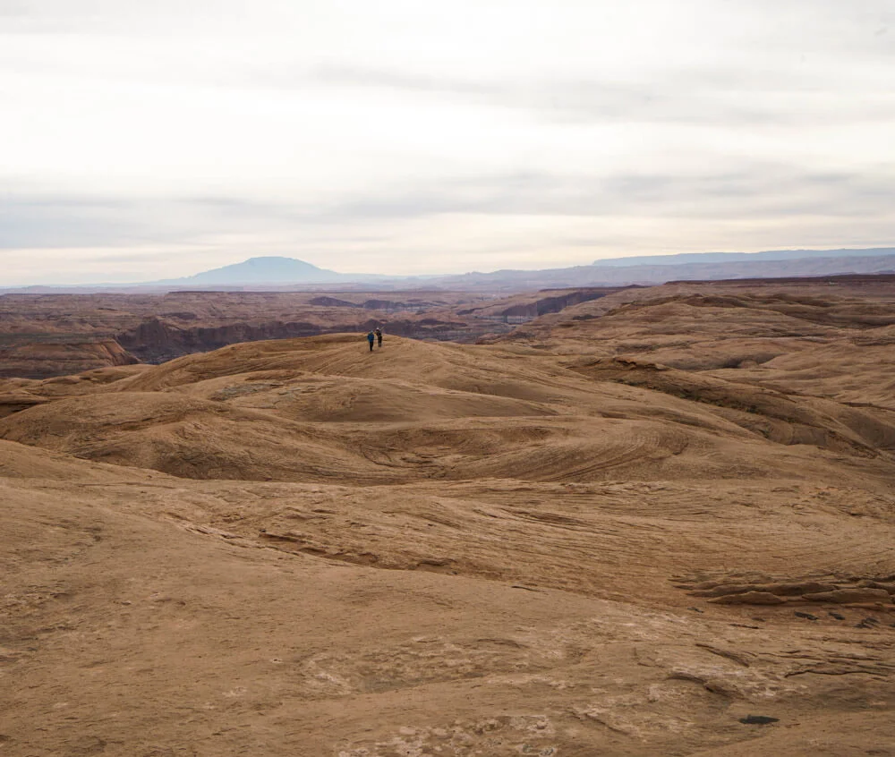 The Landscape