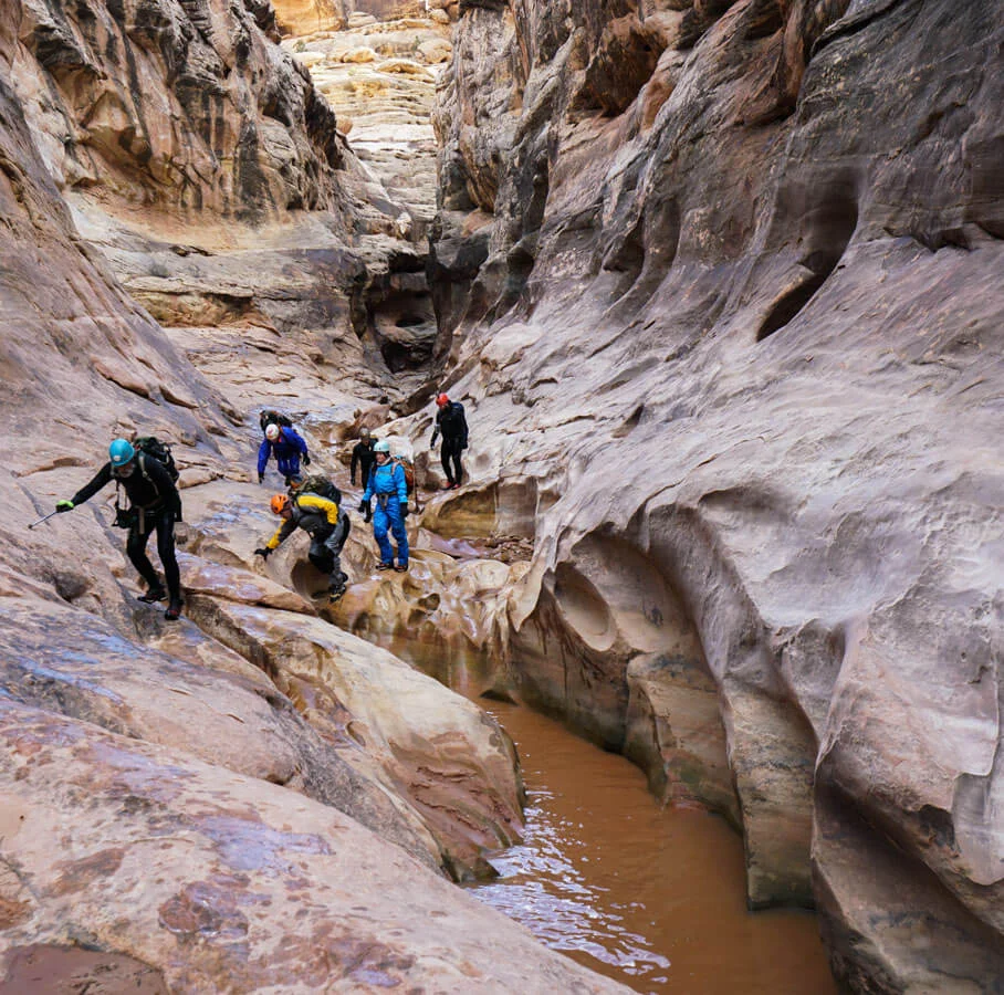Ram leading the way on the ledges… still no ice…
