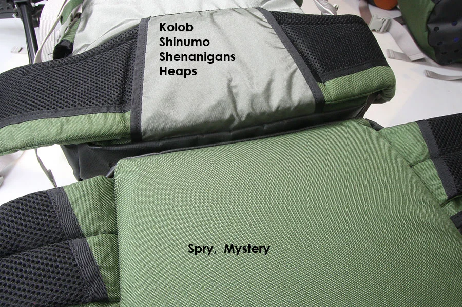 Two-Hipbelts900.jpg