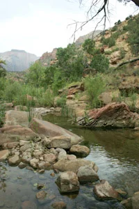 LowerPineCreek.jpg