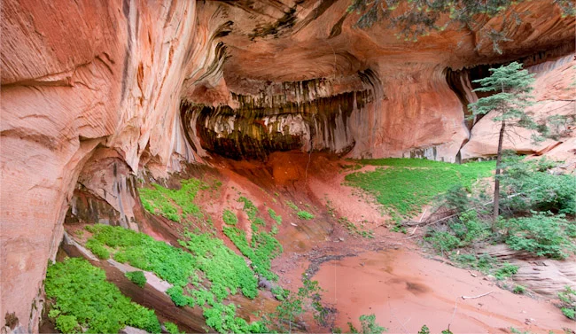 DoubleArchAlcove.jpg