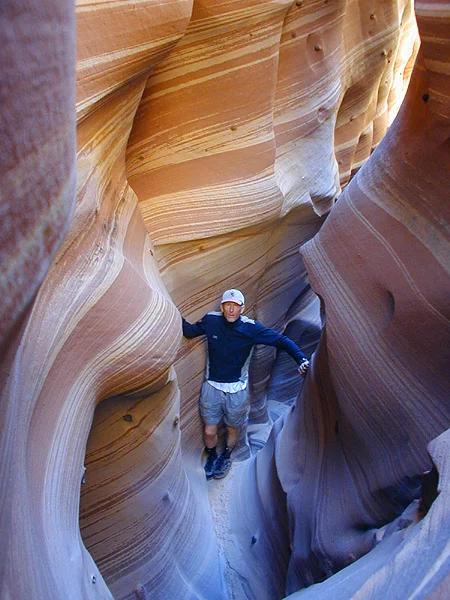 Upper Harris Wash: Zebra, Tunnel and Good Cow Canyons