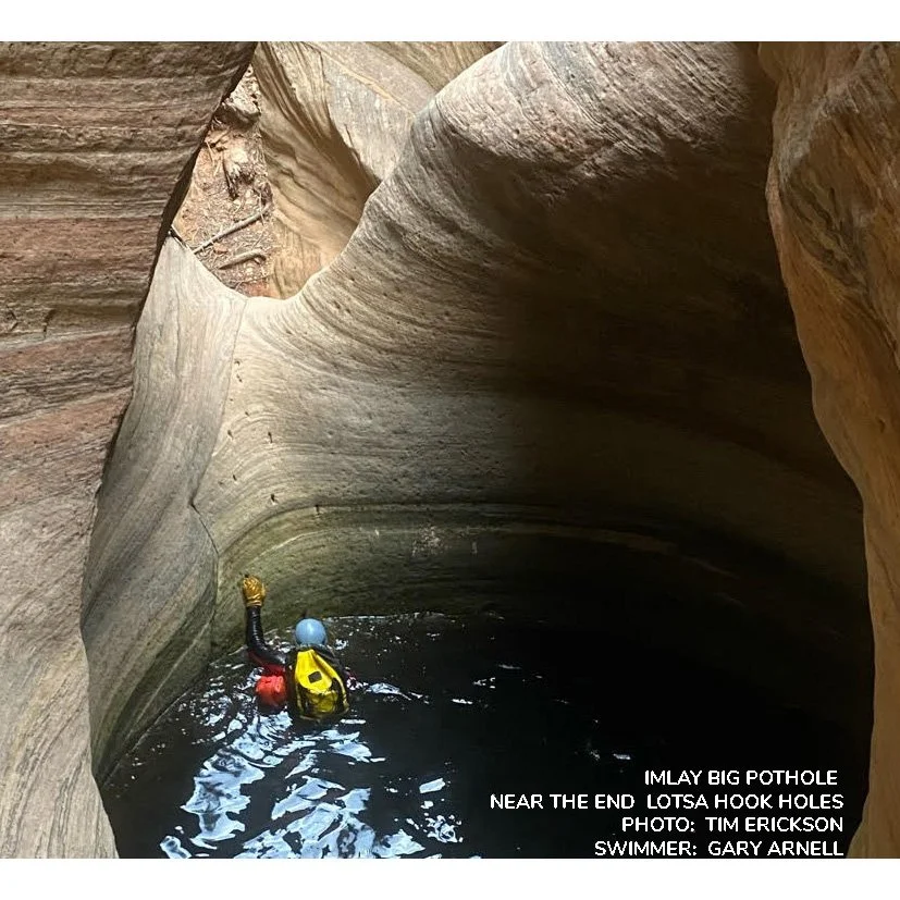 BD Talon Multi-Hook w/sling