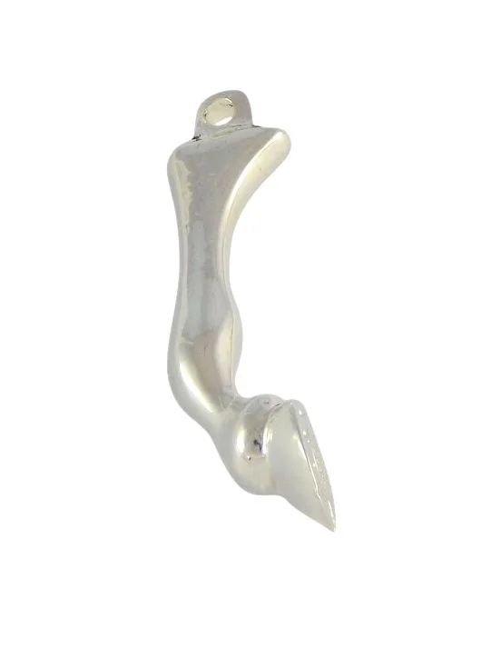 horse leg 2.jpg