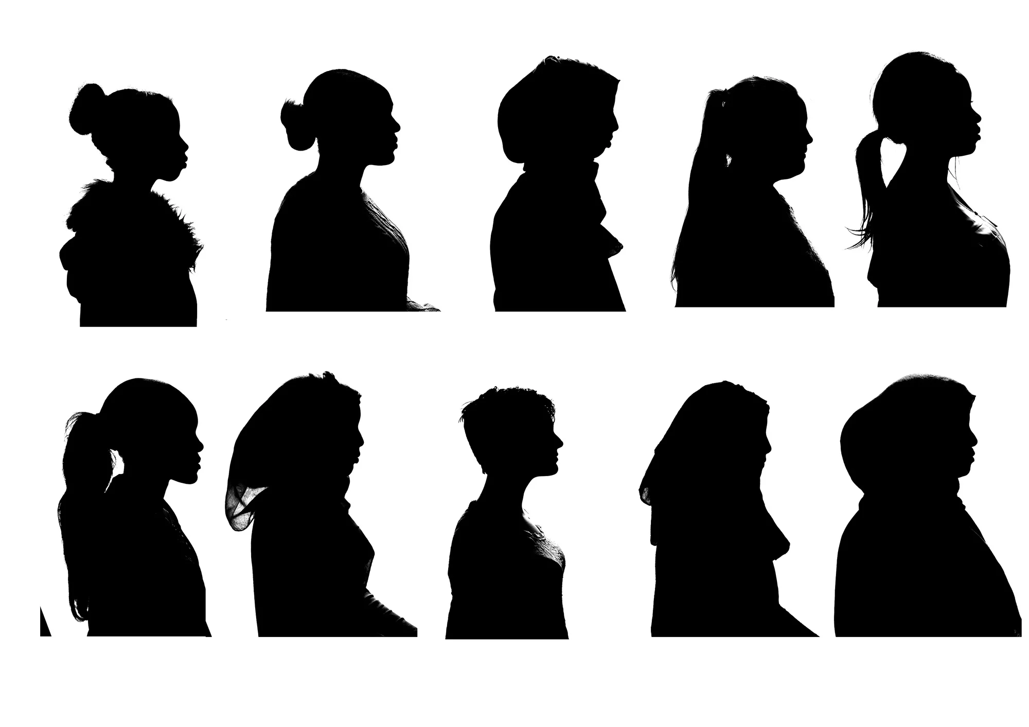 FGM silhouette.jpg