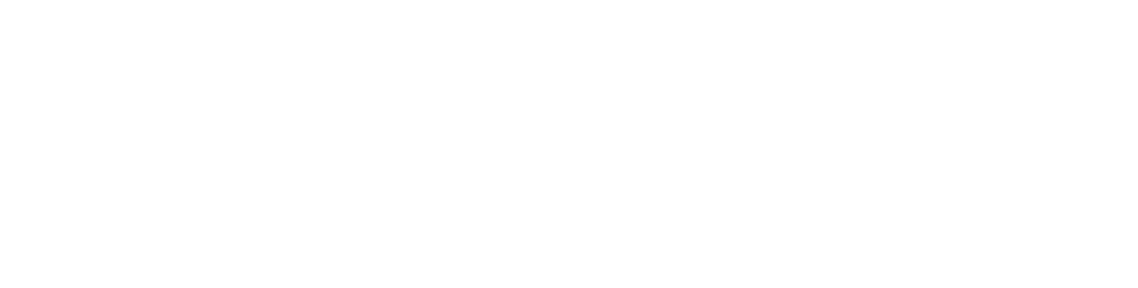 Young Government Association Launches