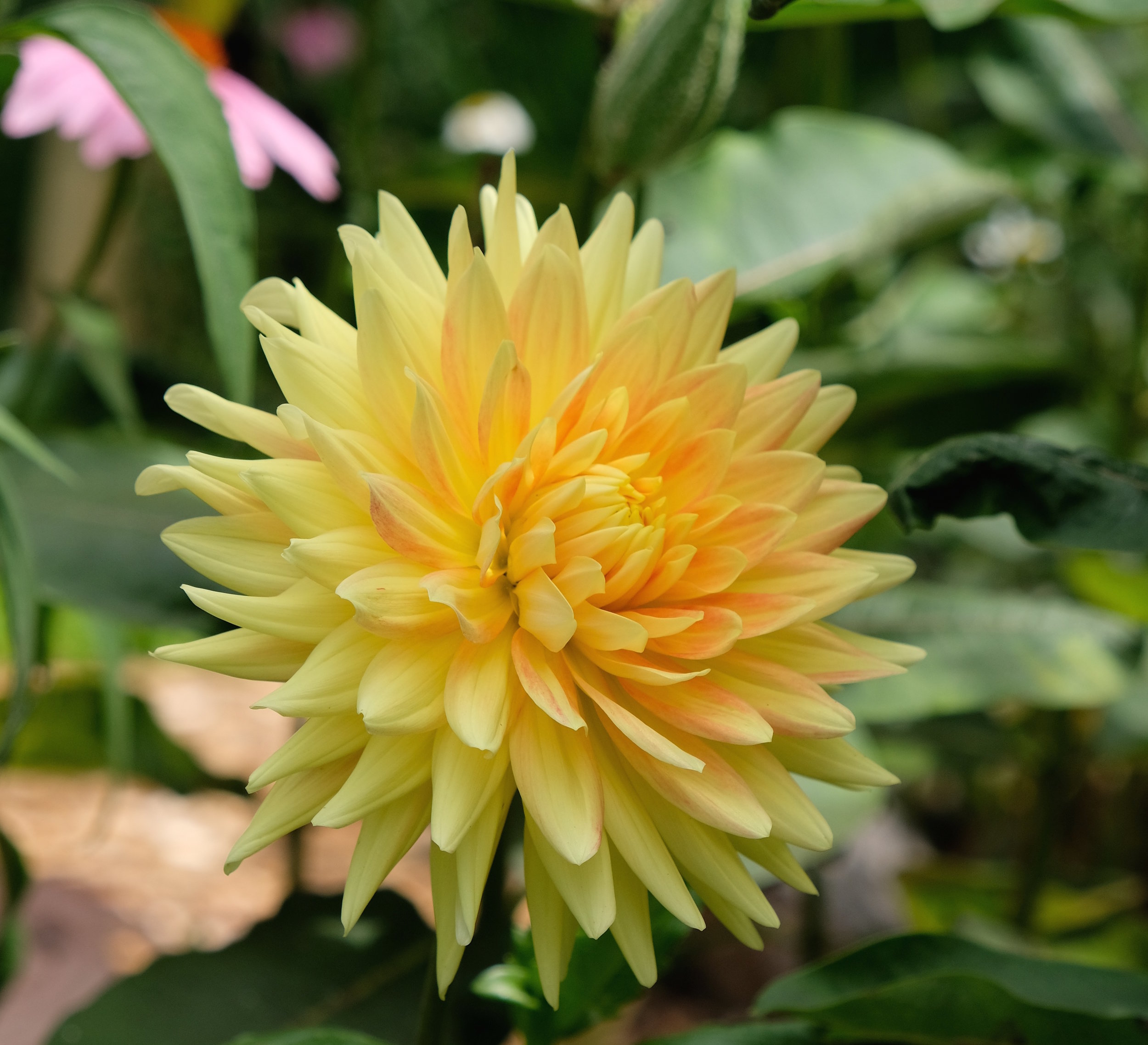 DSCF3641.jpg