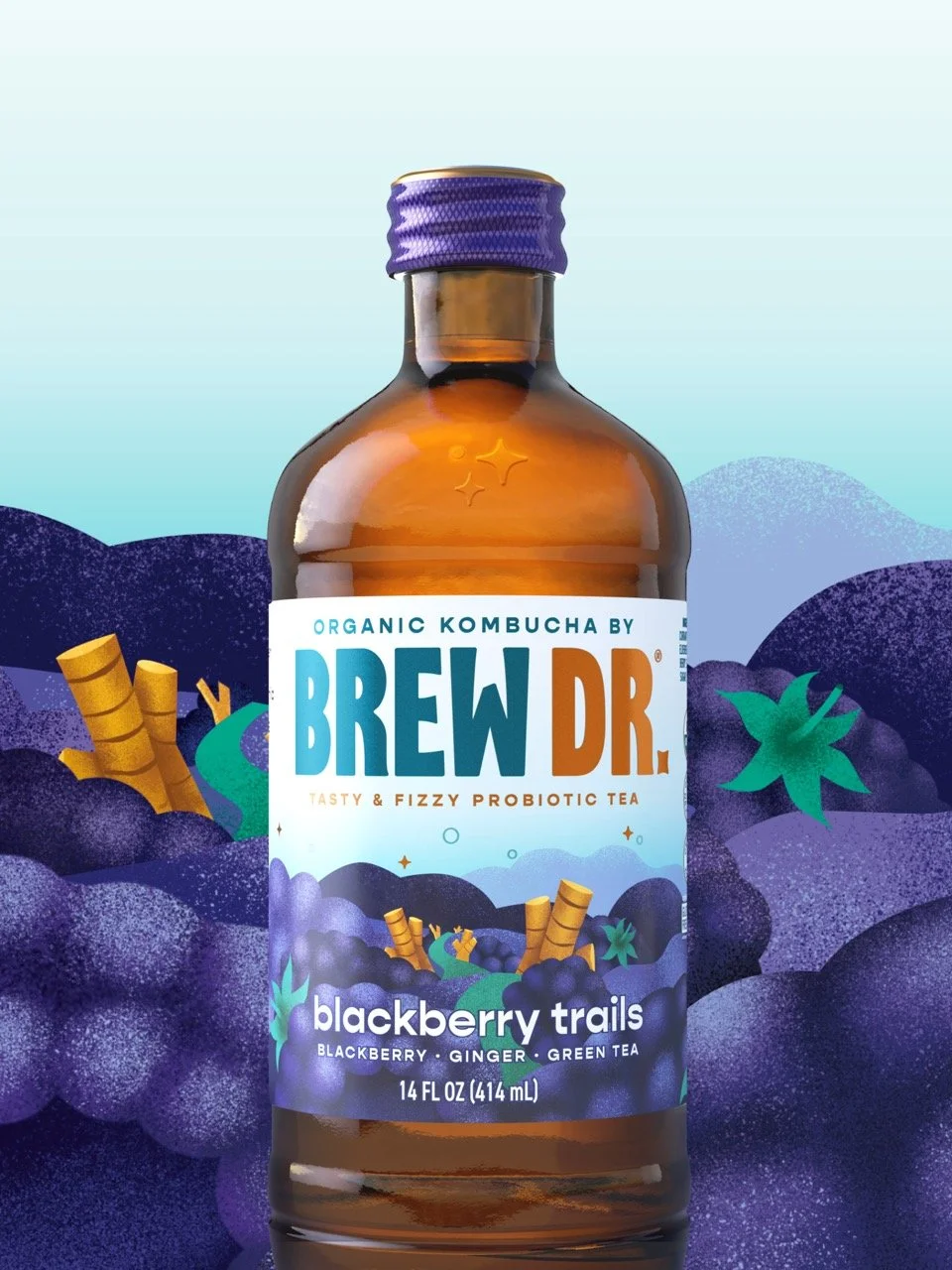 Brew Dr. Kombucha