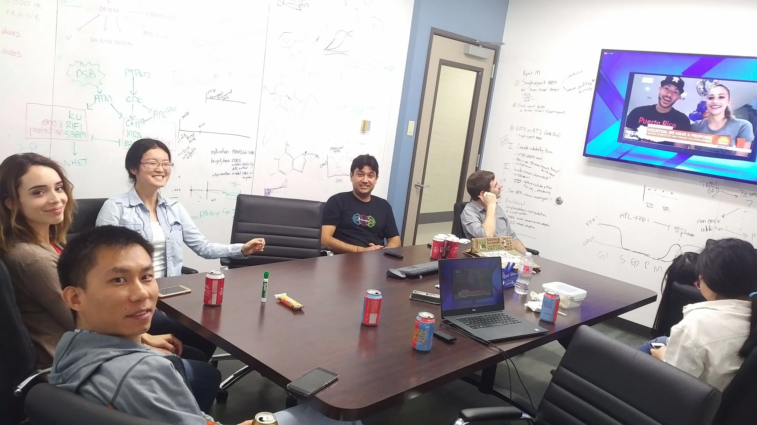 Lab members watching the Astros World Series Parade.