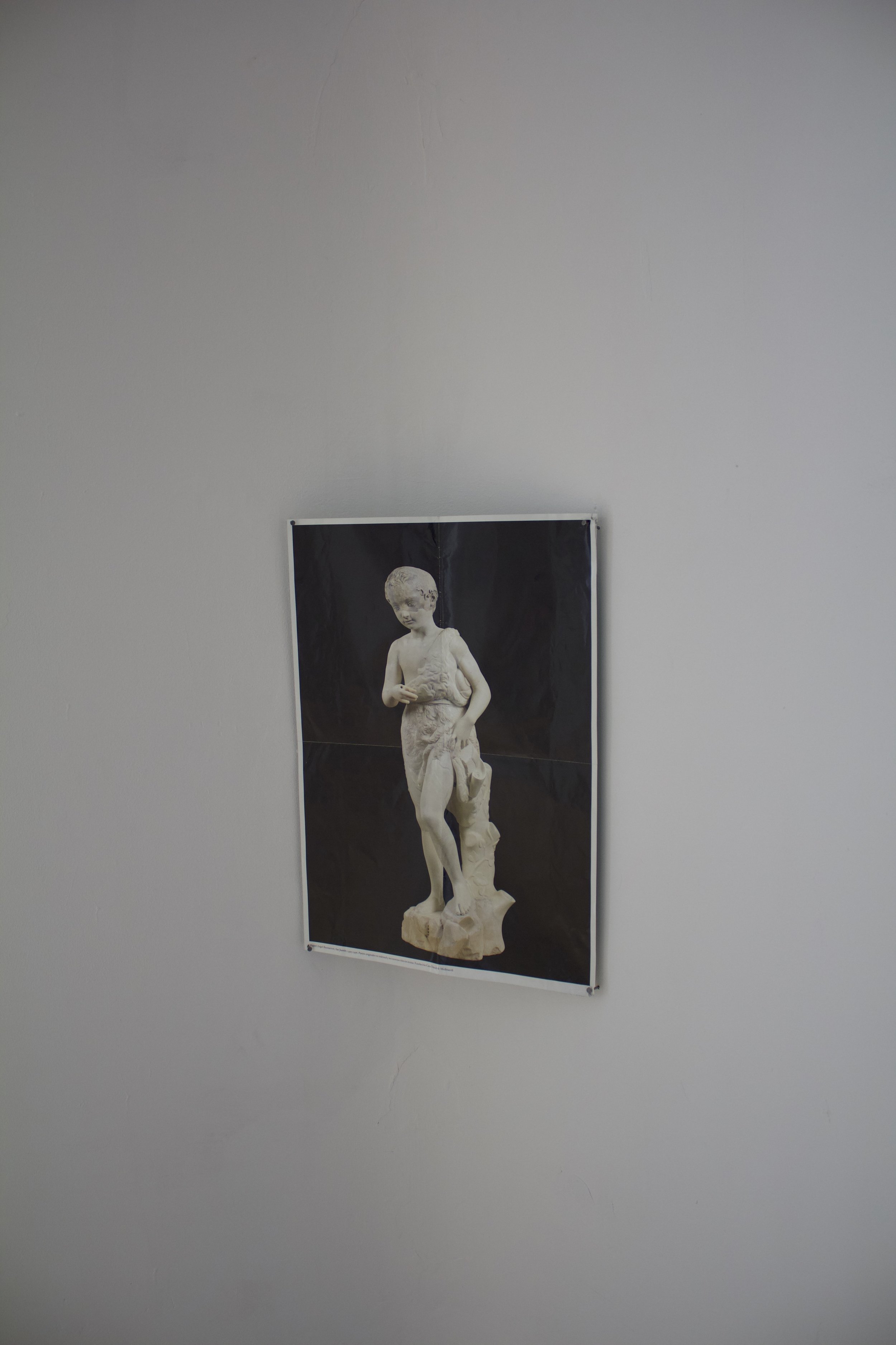 IMG_8006.jpeg