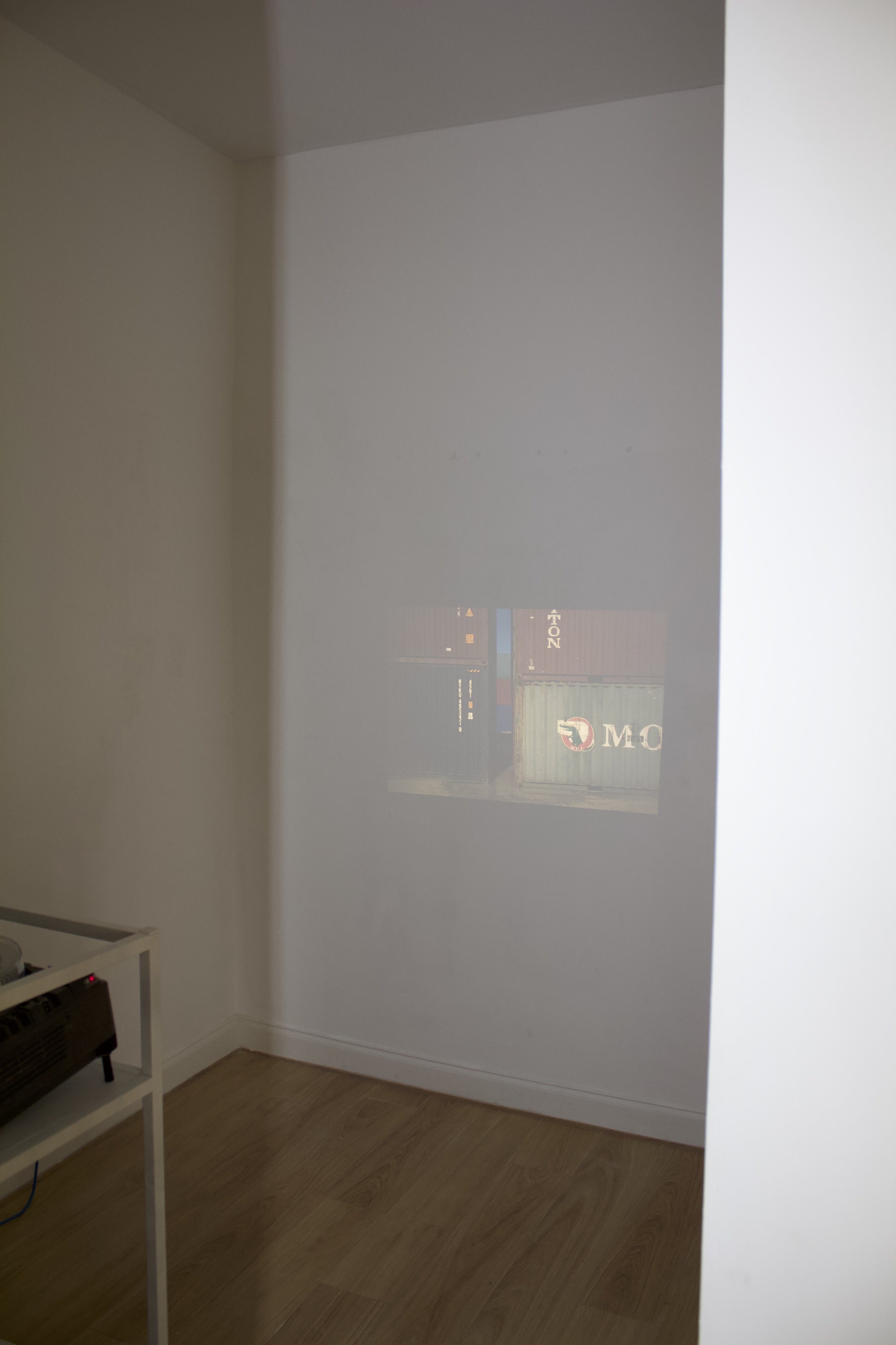 IMG_8021.jpeg
