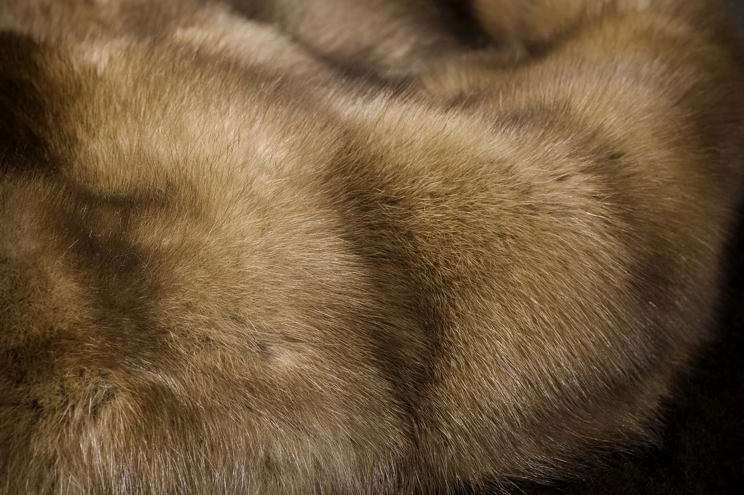 pat-flesher-furs-texture.jpg