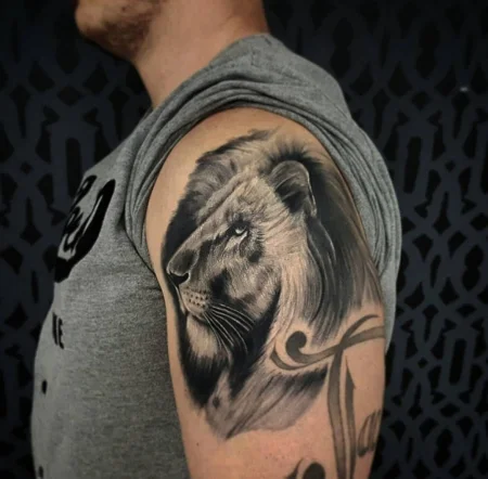 Lion.jpg