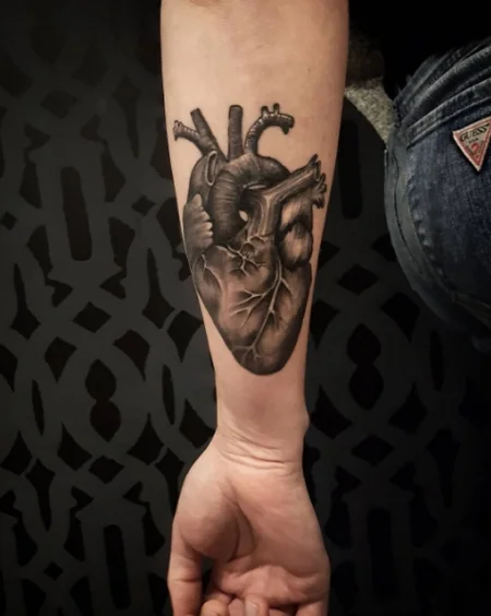 Heart.jpg