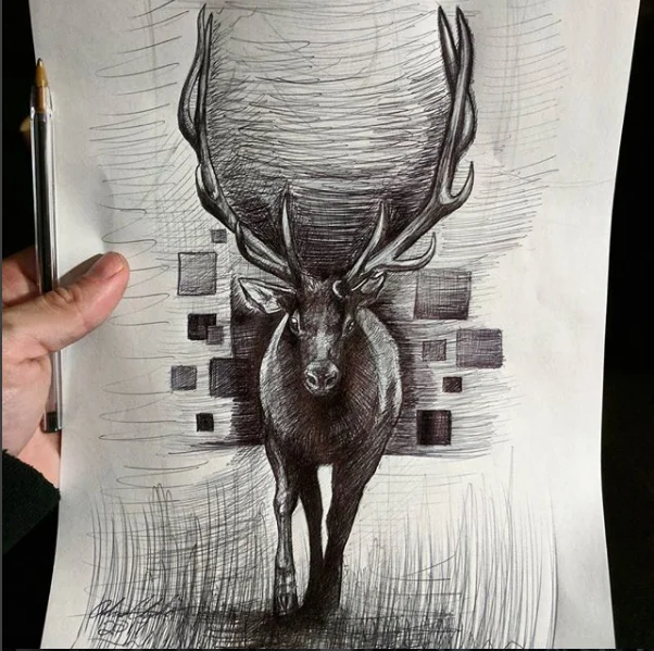 Elk.jpg