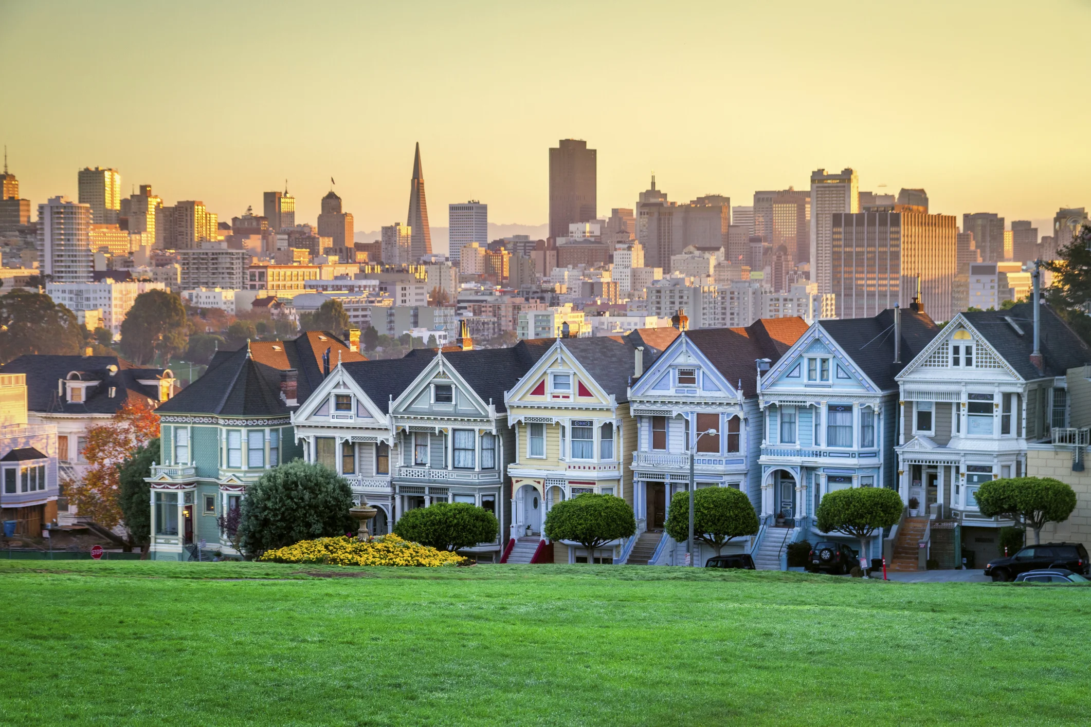 Painted Ladies.jpg