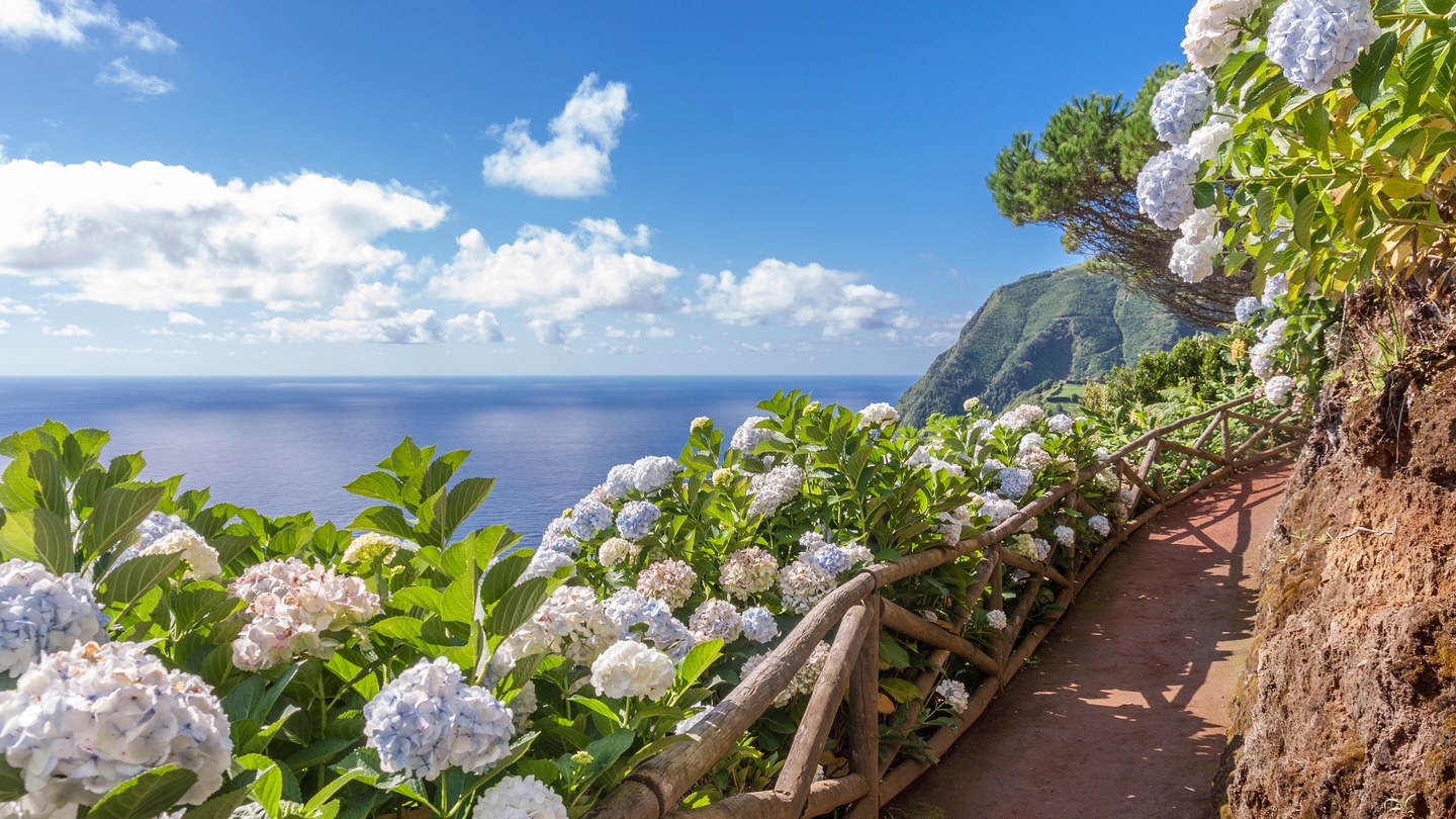 Hydrangeas-Azores_GettyImages-491086884.jpg