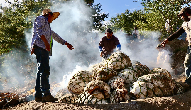 PUNCH: Don’t Know Where to Start With Mezcal? Here Are 10 Producers to Know.