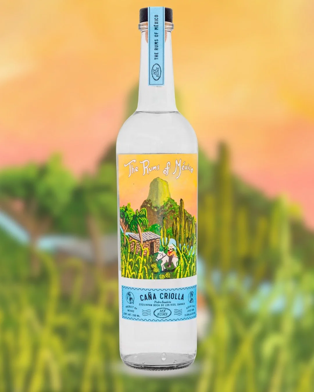 Cultivated by Daniel Vega Santiago in the arid village of Zoquiapam Boca de los R&iacute;os, Oaxaca, Ca&ntilde;a Criolla is a yellow-colored, hearty cane variety that grows among columnar cactus and biznagas and is irrigated from water drawn from the