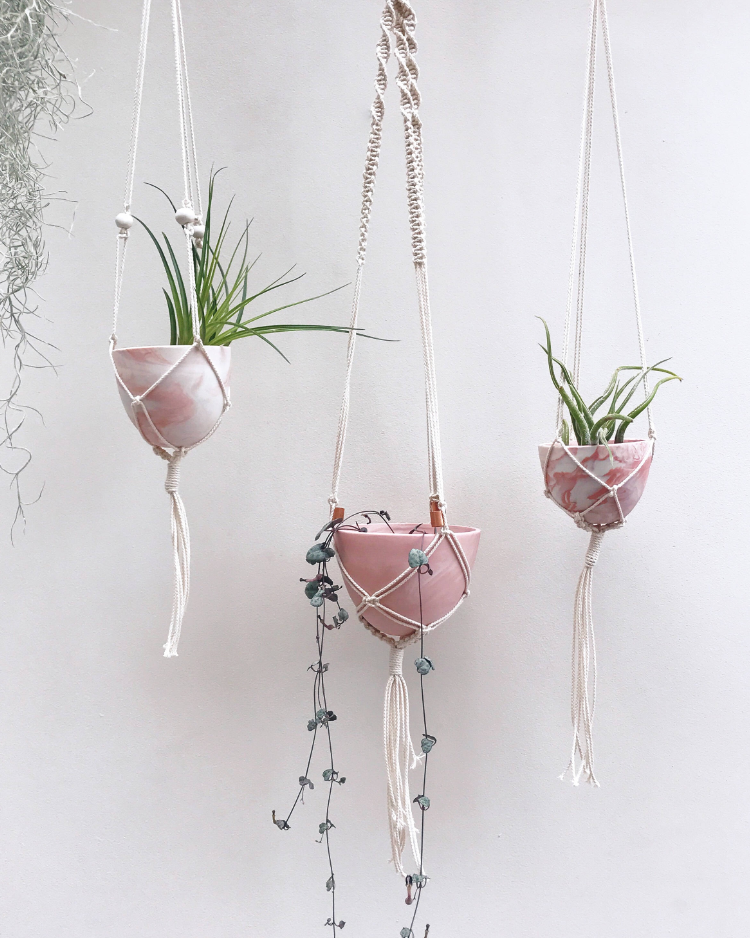 Mini Plant Hangers £33