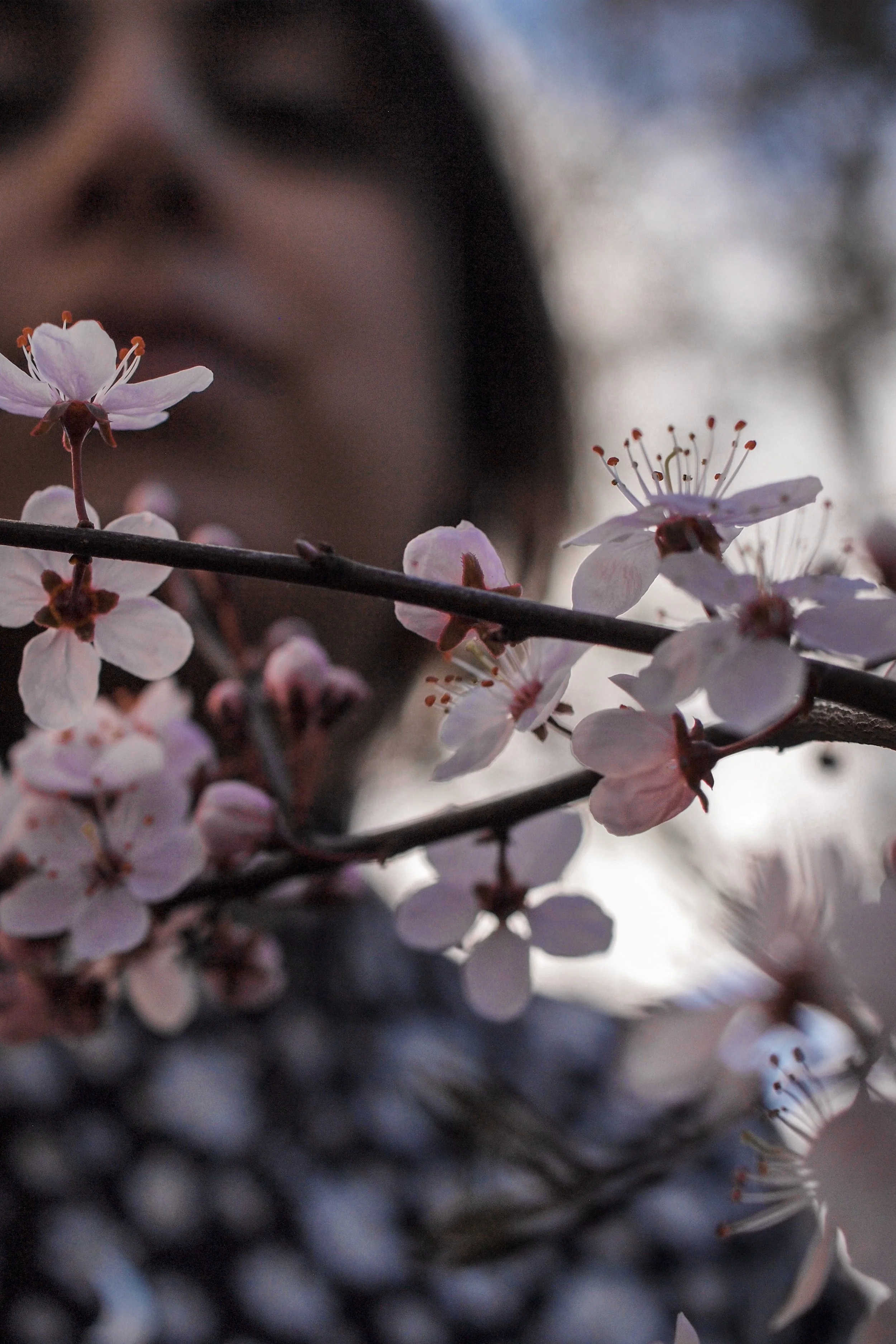 The Language of Empowerment