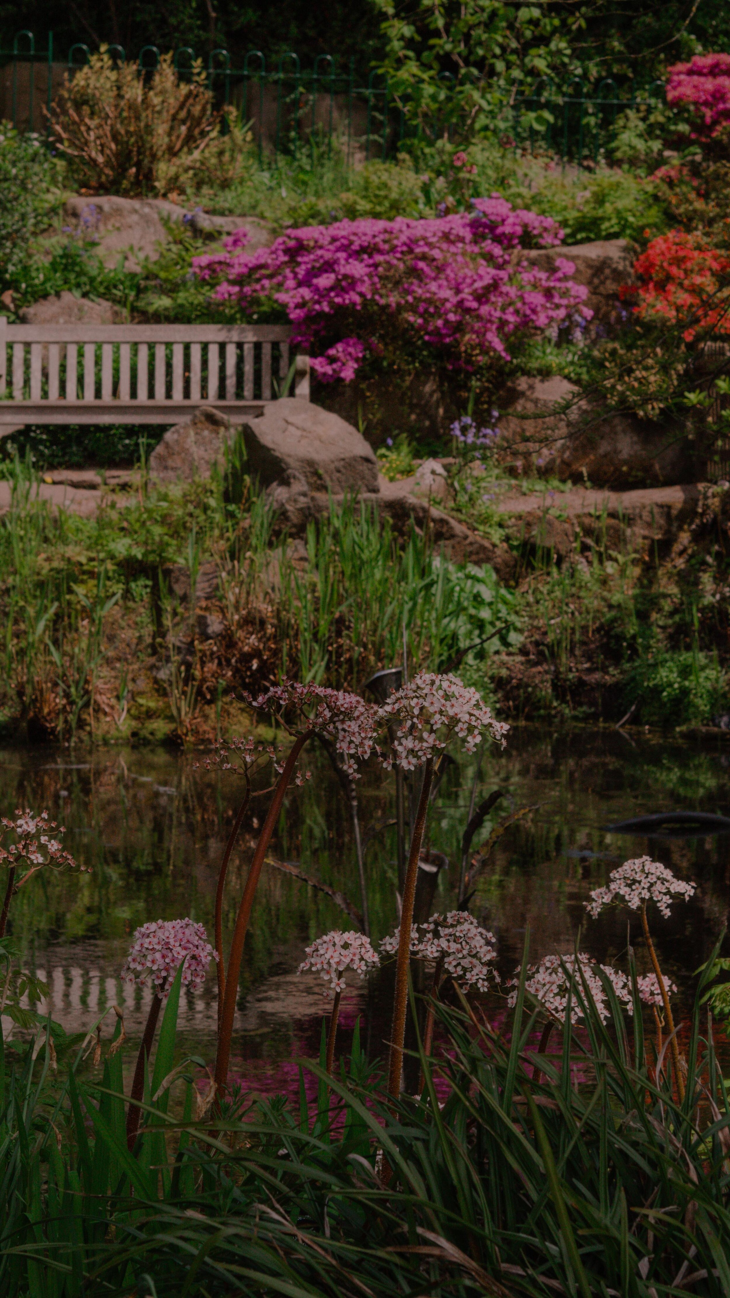 { happy Sunday loves 💖 still quarantining here! So living vicariously through last year&rsquo;s snippets of a beautiful May Day at the @bhambotanicalgardens 🌸 

May is one of my most favourite months for lots of reasons but the #rhododendron walk w
