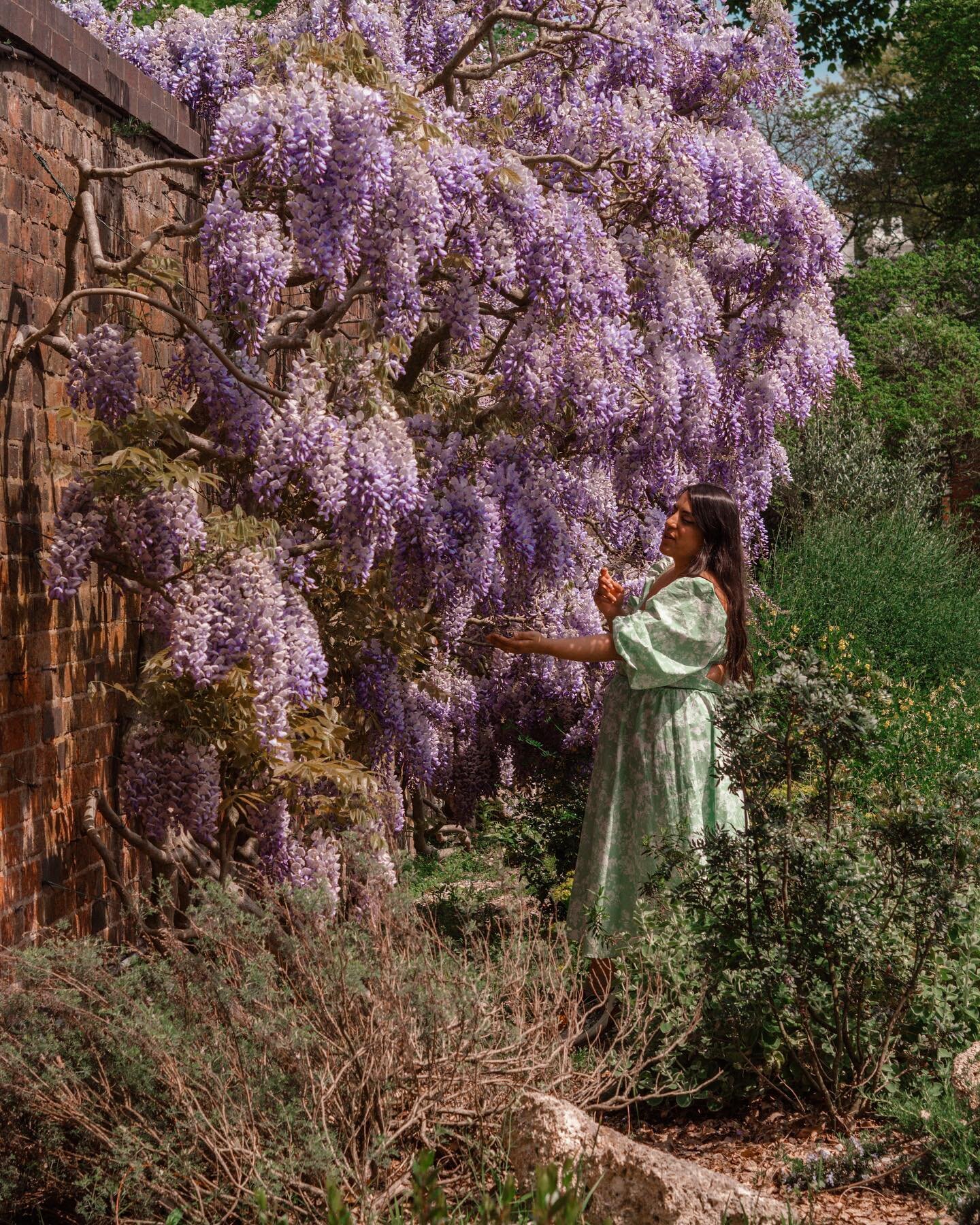 { #TellyTalk ~ It&rsquo;s well overdue!! And although we have a right chinwag up in stories/DMs, It&rsquo;s nice to bring it down to the grid. Settle in ☕️ 

As you may be able to tell by the wall, wisteria and #QueenCharlotte theme song playing by m