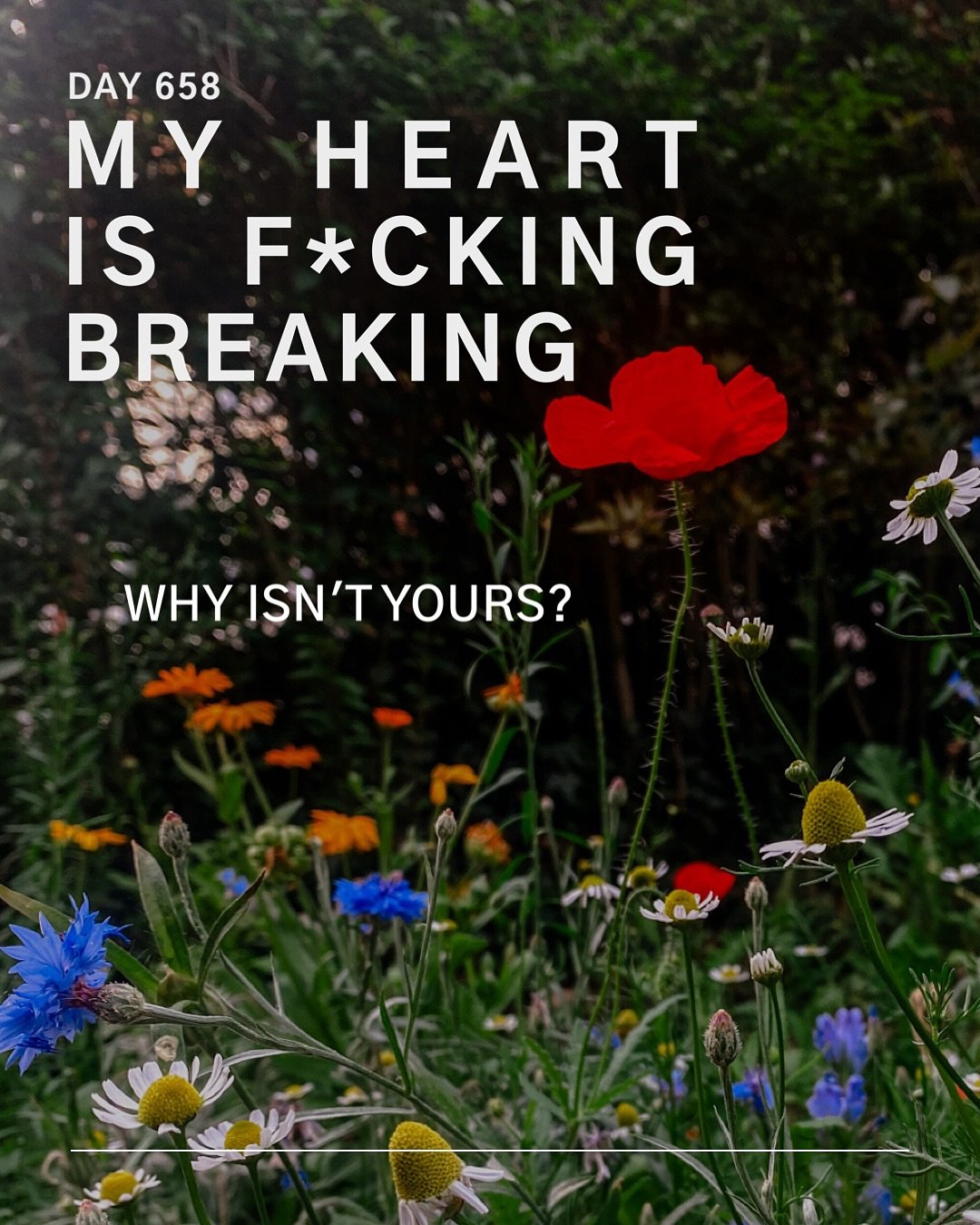 We are all interconnected and maybe you can&rsquo;t feel the soul loss from your inaction and complicity right now, but you will.

Do you not see yourselves in them? Do you not see your loved ones in them? 

Do you not feel history repeating and hear