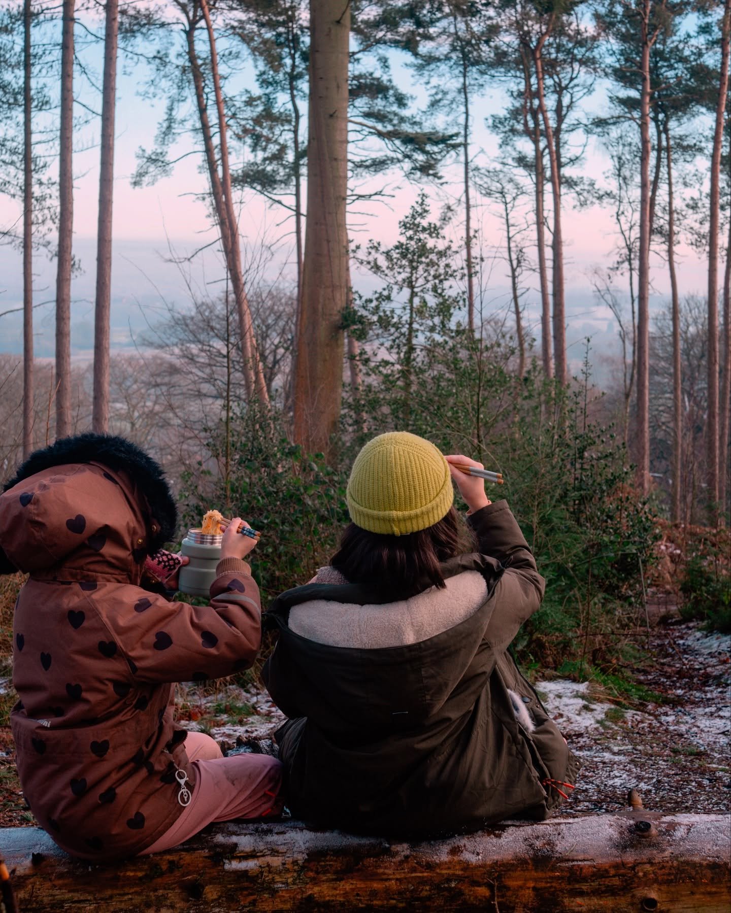 { Photos I&rsquo;ve been meaning to share ~ from late last year and beginning of this one : 
1-4 : Lickey Hills, walks, sunshine, noodles and trees 
5-7 : little hands that I love and mossy moss I also love 
8: Malvern walk with beautiful friends and