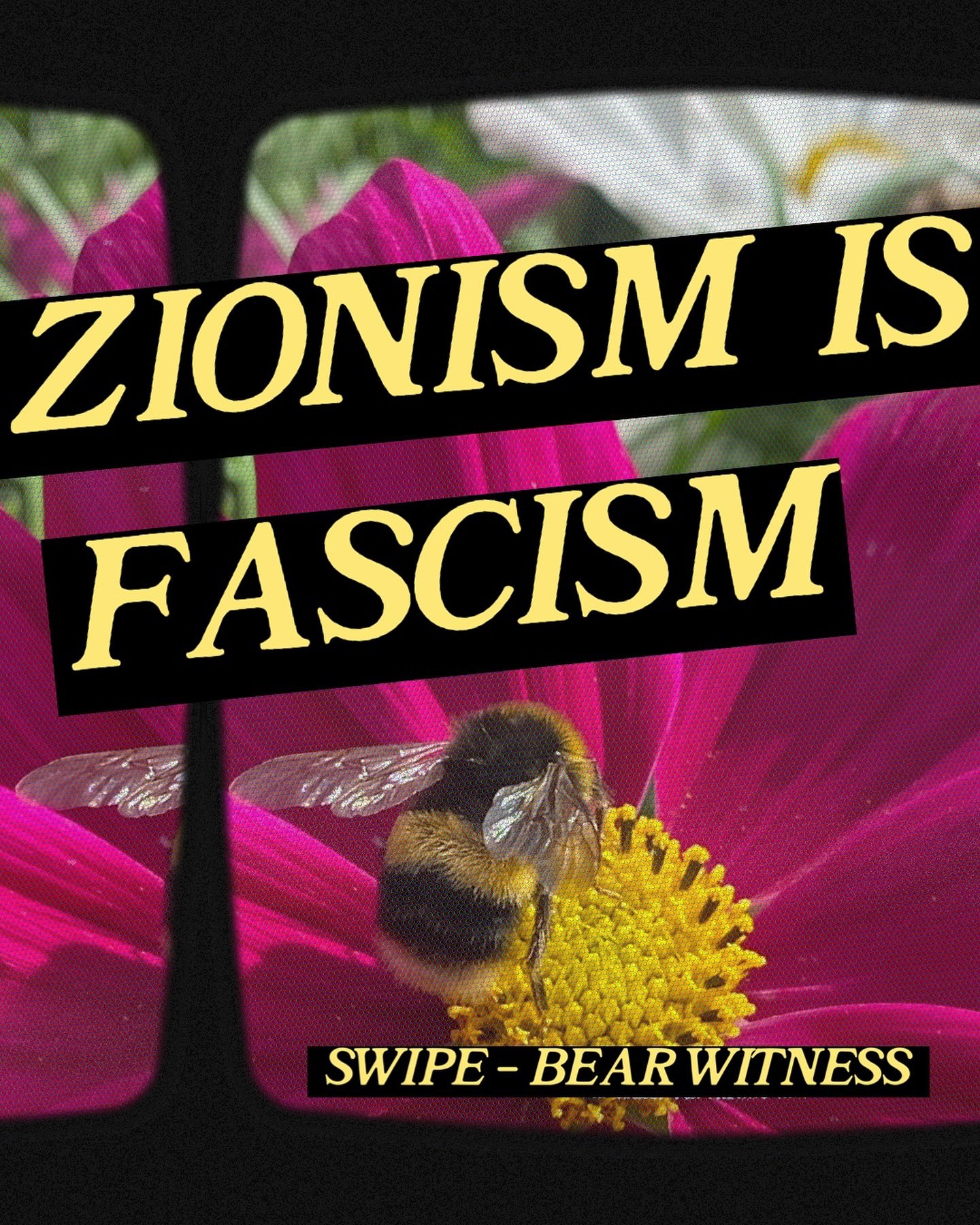 { Zionism is fascism. Ignoring what&rsquo;s happening there is allowing fascists to feel emboldened here. 

What more is there to say? To scream? To shout? To gently say? To sing? To dance? 

Stand with us. Stand with us every time because if not tom