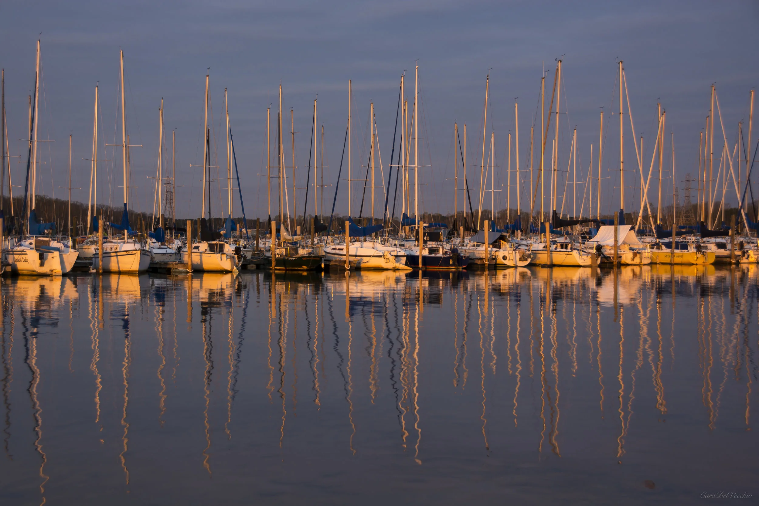 Sailboats.jpg